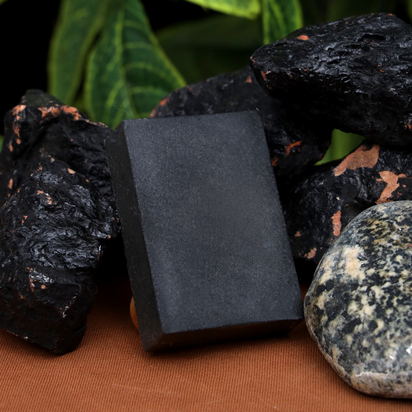 Charcoal Soap